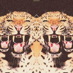 Hip Hop Beats & Instrumentals