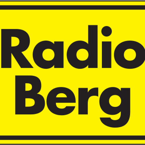 Beitrag Radio Berg