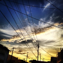 fall-winter