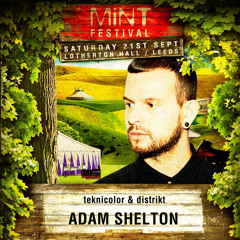 Adam Shelton - Mint Festival Podcast #4