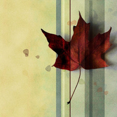 Moody Autumn