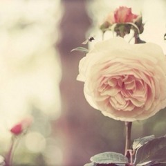 Do you see how much I need you right now ??!!!