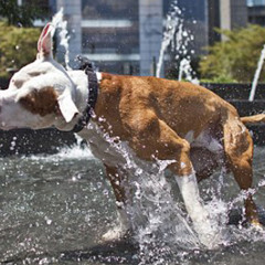 Red Nose Noam The Drummer ReTwerk