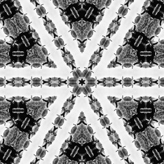 Now Is The Time Ft M L King