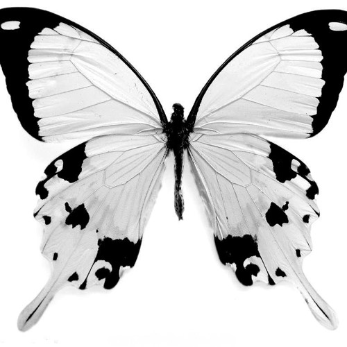 Mancha Chapter White Podcast September 2013 (Special Edition Bariloche-ARG)