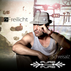 Virtual Ice_SchreisalZ (PREVIEW) - Out now on PurePureMusic!