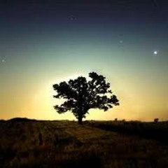 Koda & Dabin - The Take Down [Coltfoot Remix]