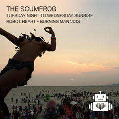 The Scumfrog - Robot Heart Burning Man 2013