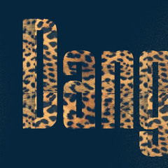 Lil wayne