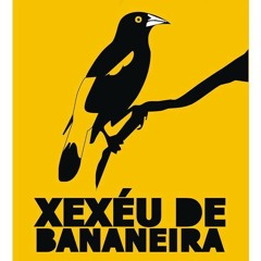 Xexéu de Bananeira - Bate Forte O Tocador (Ao Vivo na Rua da Tomazina)