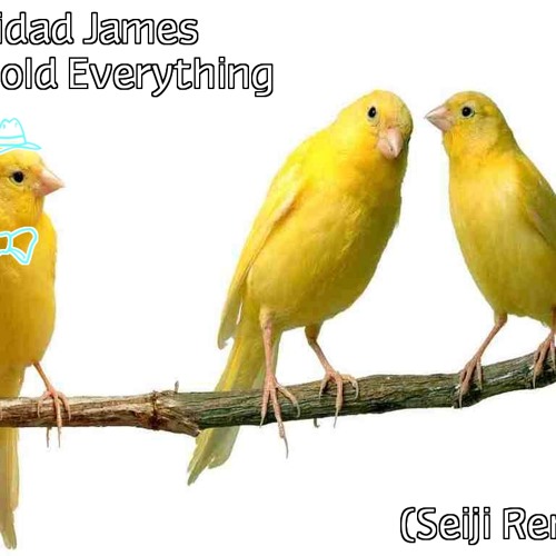 All Gold Everything (Seiji Remix)