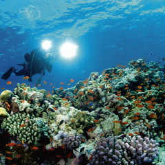 水中の効果音表現
