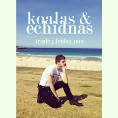 Koalas & Echidnas (Triple J Friday Mix)