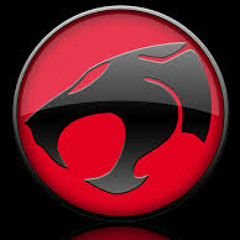 MONT. PONTINHO THUNDERCATS (DJ JUNIOR FAMA)BATIDÃO DIGITAL