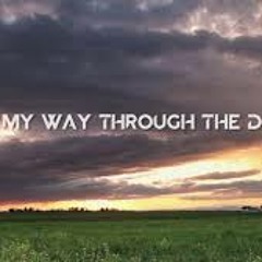 Wake Me Up (Lyss Ryan Dubstep/Trap Mix)