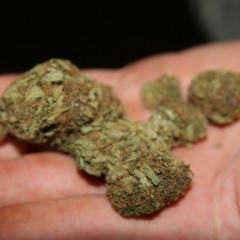 New J.U.G Ft B - Nintendo