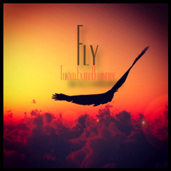 Fly