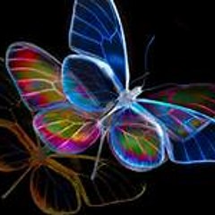 صلاح بو خاطر