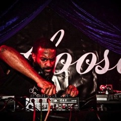 Theo Parrish made me funky