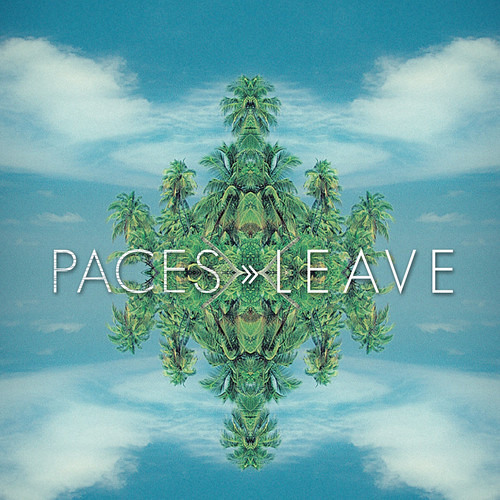 LEAVE (Palais Remix)