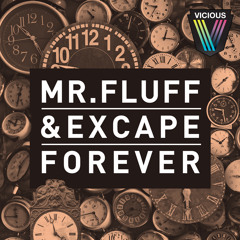 Mr. Fluff & Excape - Forever (Original Mix)
