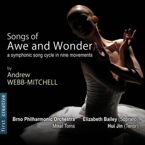 The Artist's Wife - Brno Philharmonic Orchestra, Mikel Toms