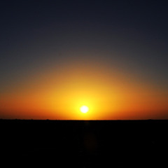 Honom - Sahara Sunset