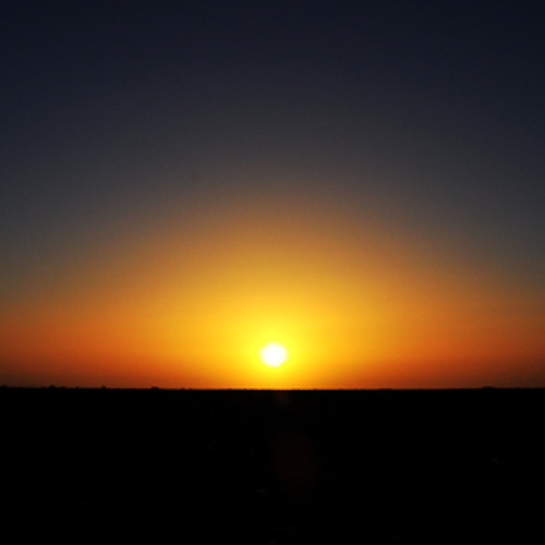 Honom - Sahara Sunset