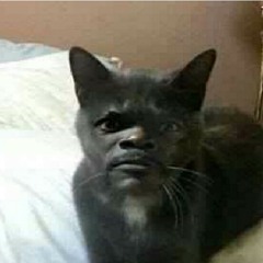 Mister 49 Keys Remix of Drops