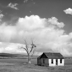 Home