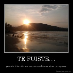 zo0ca LS ft Mc Andz ft Gozu - Te Fuiste 2013 company Records