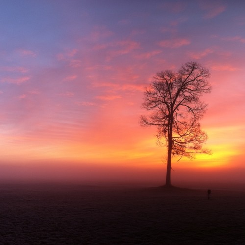 Reminiscence ['Buy' is a free download!]