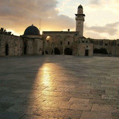 عبد الحليم ابو حلتم