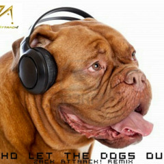 Zack Attaack! - Who Let The Dogs Out (Baha Man)
