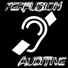 Silyfirst - Perfusion Auditive