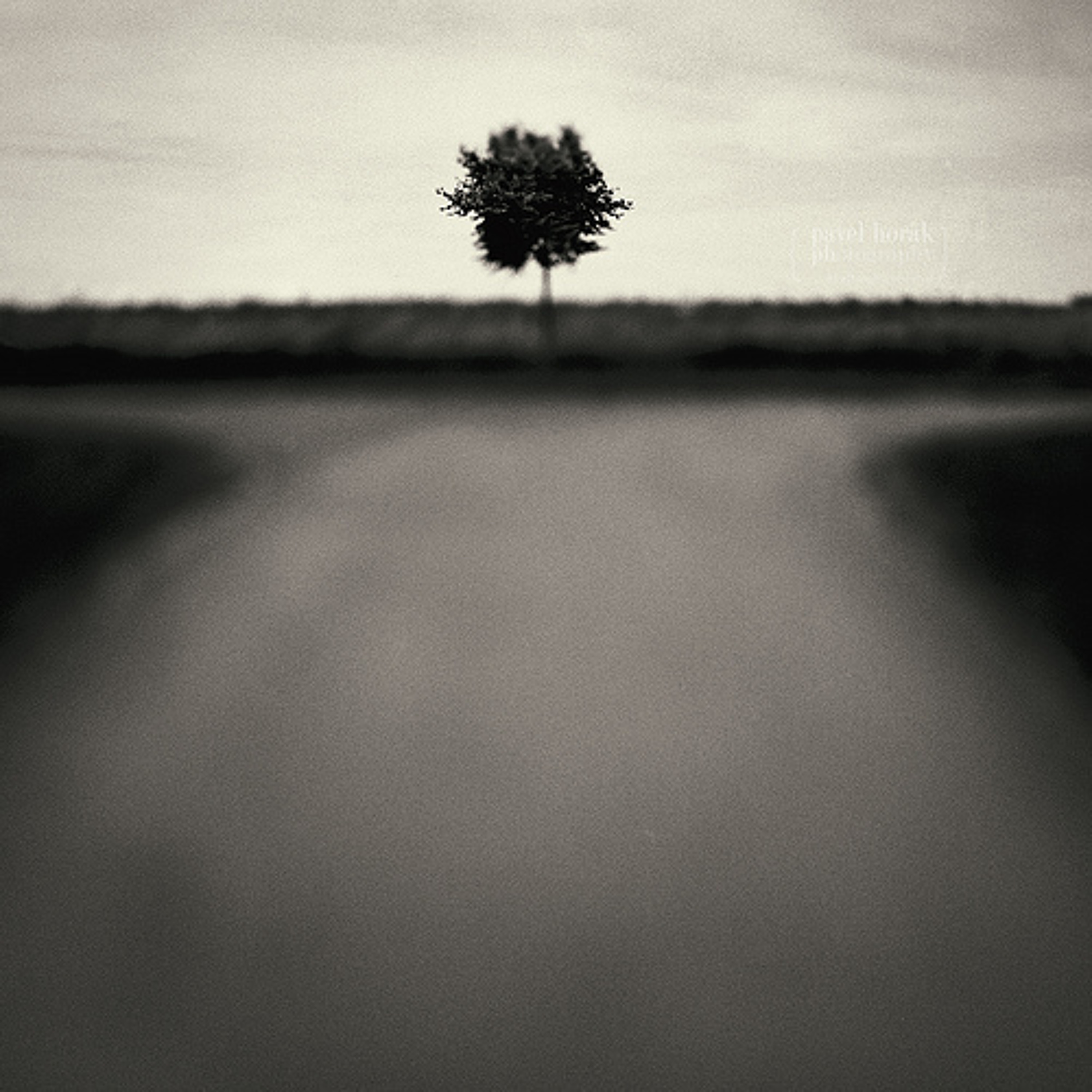 MIKE SPRING