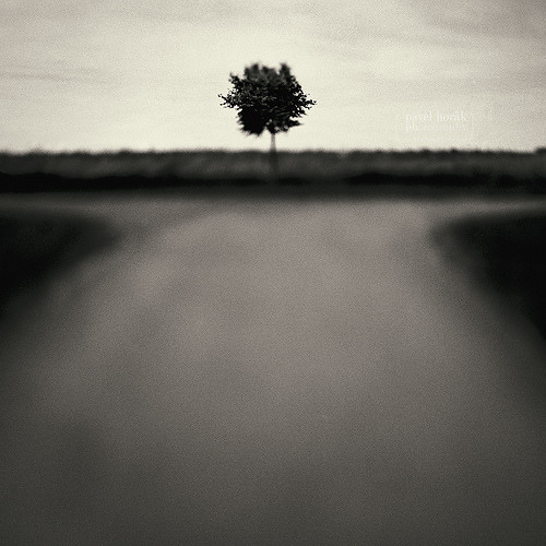 Crossroads - with Mike Sobel -