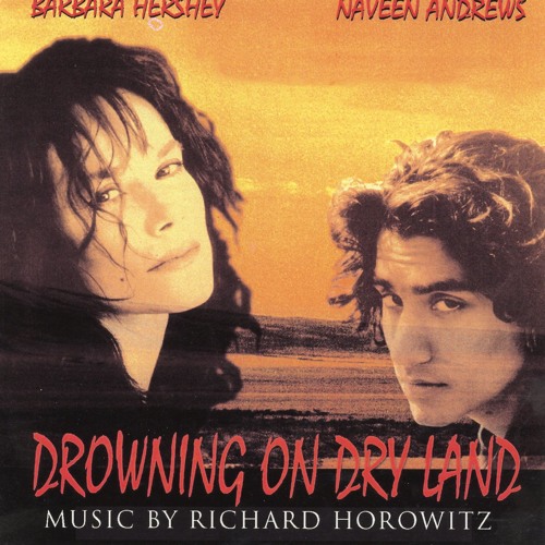 Stream Richard Horowitz Listen to DROWNING ON DRY LAND playlist