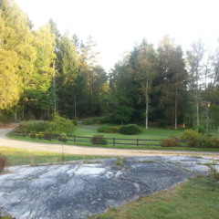 Accordion Dream over my Home