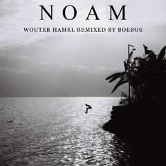 Wouter hamel