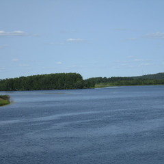 PseudoPlotinos - Shoreline