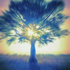 Trance progressive...