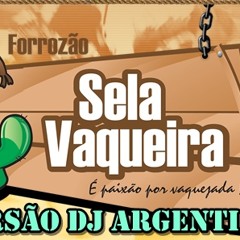 Sela Rasgada Mulher Vc É Linda Versão Dj Argentino