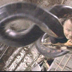 Khali Kids - Kick Flip Anaconda