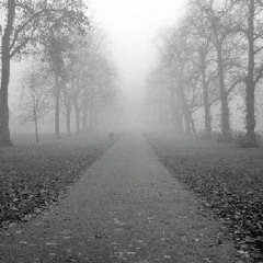 Shadowfinder - "Weronika" (medical experiment camp theme)