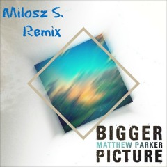 Bigger Picture (Miłosz S. Remix)