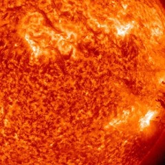 Letters from the bottomless pitt