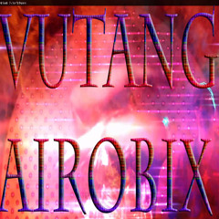 vutang airobix
