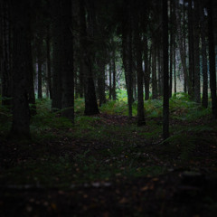 C.Monster - Twilight Forest unmstrd (VA - Mystical Folksagns 2)
