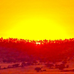 Hataken - Autumnal Sun